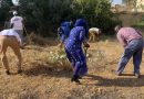 Hygiène/Assainissement : Le CECOQDA clôture l’année avec une journée de salubrité